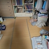 …やっぱ平行線