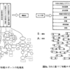 サブサンプションアーキテクチャによる知的な振る舞いの創発