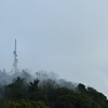 雨上がりを待って