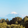 今朝の景色