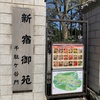 新宿御苑と桜