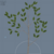 【SpeedTree】枝葉テクスチャを作成する（1）