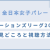 全日本女子バレーネーションズリーグ2024の見どころと視聴方法と日程