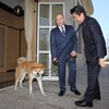 プーチンの飼い犬に入れてもらえ、しっぽを振る安倍チン三