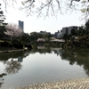 【広島】縮景園