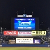 東京ヤクルトスワローズ　一年間　おつかれさまでした！！！