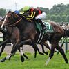 競馬初心者必見☆馬券予想🔥〜函館記念〜今年は大荒れに期待！！