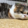 成人式。。44年前。。っていったい。。