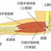 末梢神経障害～その②～