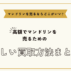 マンドリンを売るならどこがいい～高額でマンドリンを売るための正しい買取方法まとめ