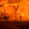 【オーストラリア山火事2020最新版】　　Bushfireとは？メルボルンの現状と被害状況