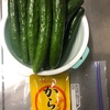 夏野菜の漬物うまし😋