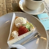 ソーグッドコーヒー　寺田さんのキャベツ　料理写真