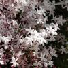 天使のサポートを受け取り始めたサイン