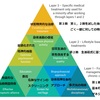 慢性疼痛(慢性の非がん性疼痛)：多疾患併存の管理における重複と特異性