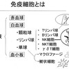 免疫が解かるサイト