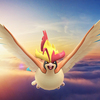 【ポケモンGO】「メガピジョット」対策と最小討伐人数は？「メガピジョット」何人で勝てる？ガチなら2人も？