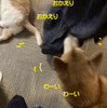 はるちゃん　またね！