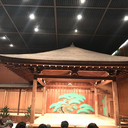 観た！