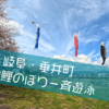 【お出かけ】垂井町の相川鯉のぼり一斉遊泳を見てきました【岐阜】