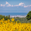 今年のお気に入り_2024年8月