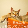  [R]Rで画像にテロップをつける