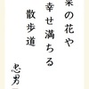 菜の花や 幸せ満ちる 散歩道