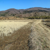 茨城遠征　宝篋山