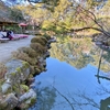 平安神宮神苑 蒼龍池（京都府京都）