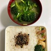 糸こんにゃくゴマ油炒め弁当