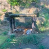 癒されるひととき(浜崎)