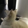 ユナの病院
