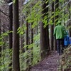 雨上がる梶ヶ森遊山　山食堂