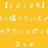 【2018年】2月に撮りたいもの・行きたいスポットまとめ！【東海中心】