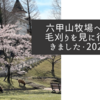 六甲山牧場へ羊の毛刈りを見に行ってきました・2024年
