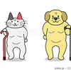 犬も高齢化社会