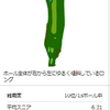 2019年ラウンド21:R1.11.3 大館CC（④：10番ホール～12番ホール）