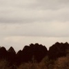 今朝の景色
