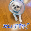 土曜日も早起き