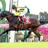 競馬初心者必見☆馬券予想🔥〜デイリー杯2歳S〜少頭数も人気薄から勝負！