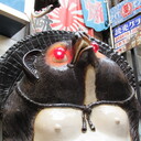 巴里から甲子園を目指す