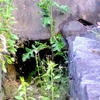 ［1253］G7広島サミットがはじまった