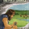 ボードゲーム　電力会社：最初の火花 (Power Grid： The First Sparks) [日本語訳付き]を持っている人に  大至急読んで欲しい記事