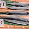 新物サンマ1匹(尾)154円