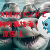 サメ除けバンドのリアルな効果と体験談　サメ　危険生物　サメ怖い　サメ除けバンド　リストバンドシャークバンド　sharkattack  シャークアタック　海　世界のサメ