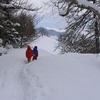 思い出した・・・雲取山の記事を・・・。