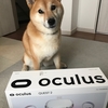 【Unity】【Quest2】OculusQuest2でURPしてみた
