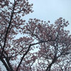 湯河原と文人