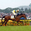 日曜競馬　回顧