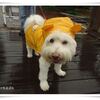 習慣になれば楽しい★１０年の時を経て